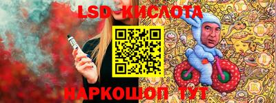 амф Сланцы