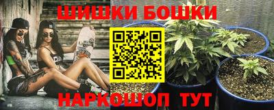 амф Сланцы