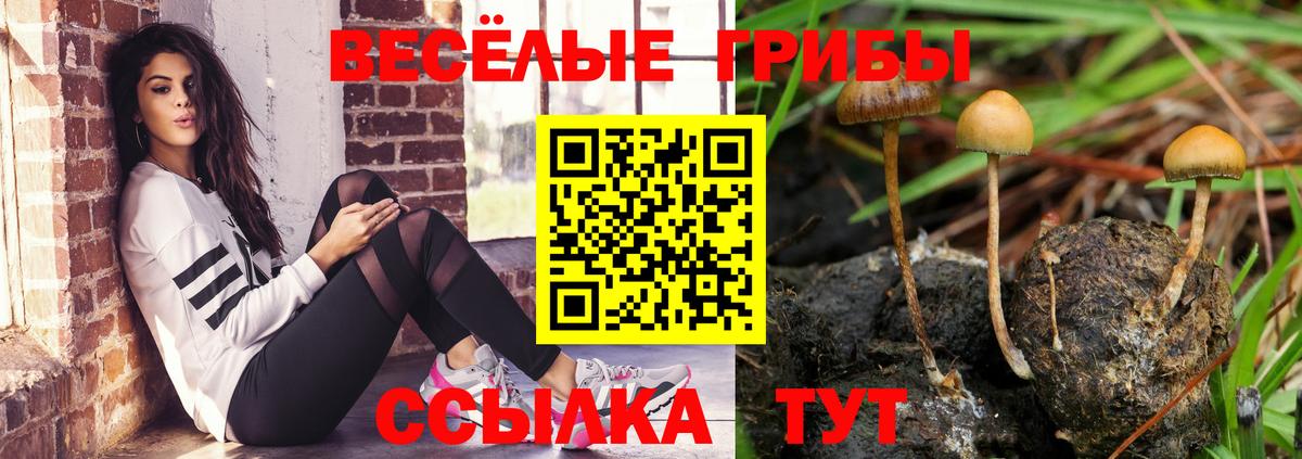 Норильск  Галлюциногенные грибы ЛСД  Вход с VPN 
